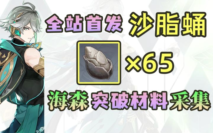 【原神】特产采集：65个沙脂蛹丝滑采集路线！给艾尔海森收集突破材料啦截图