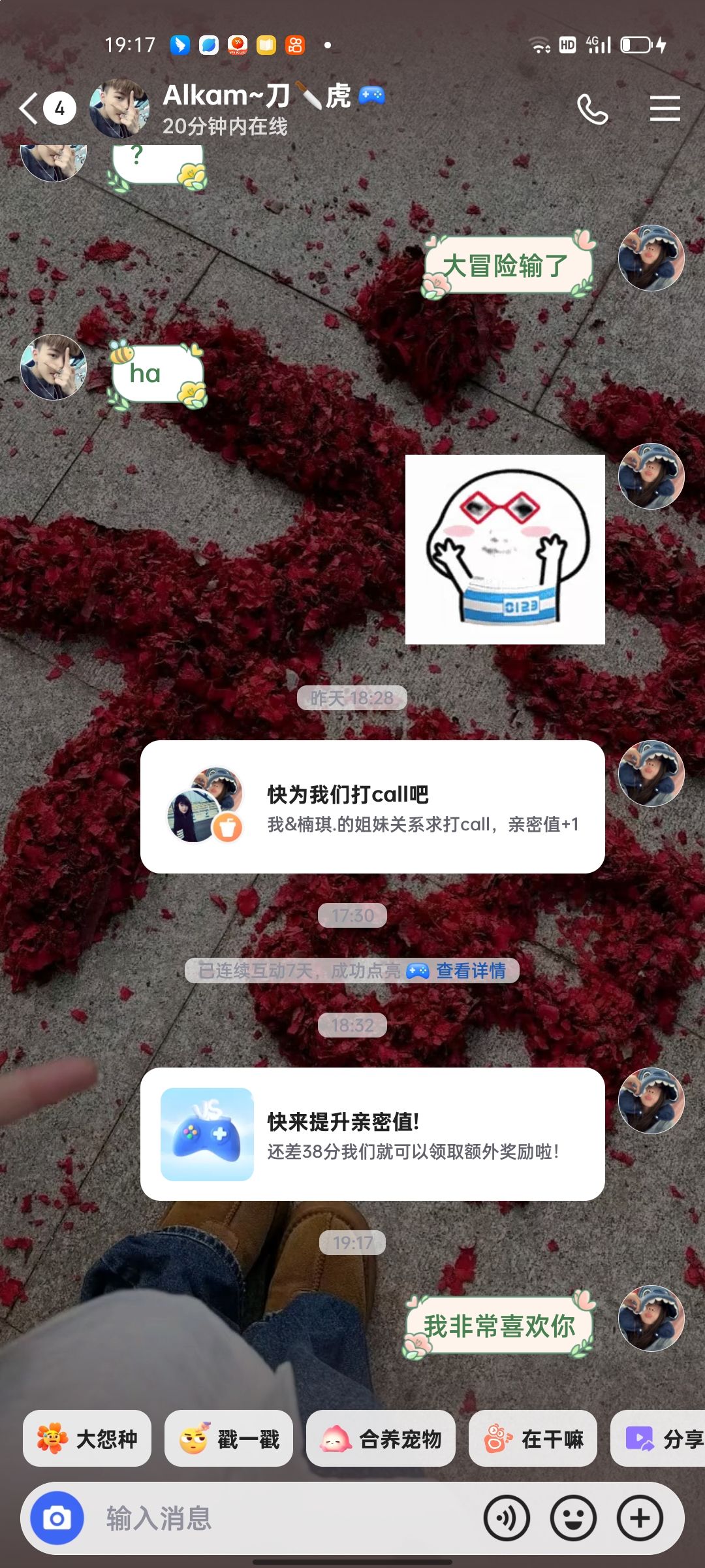动态图片 6