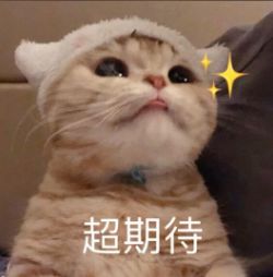 【送1000钻】关于夏日对决活动体验公告