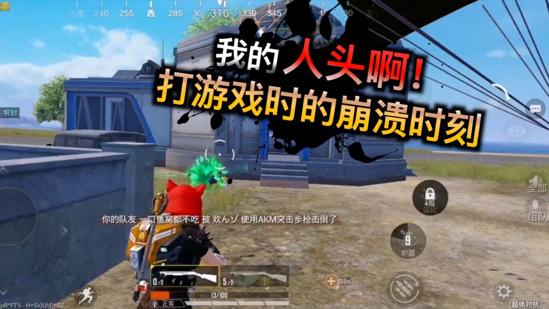 video-3859175