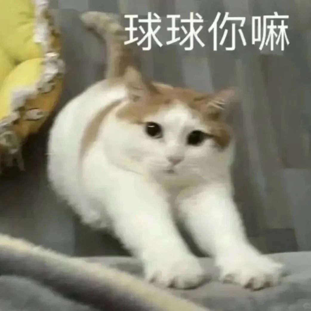好兄弟给看看不朽宠物的技能呗 1