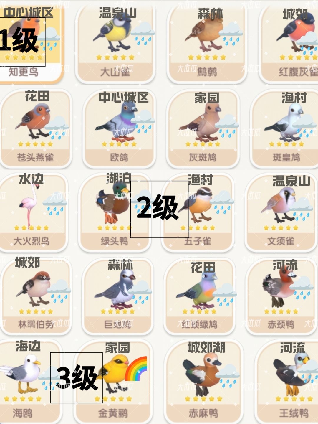 目前最全的观鸟攻略,包括5星可拍时间段 2