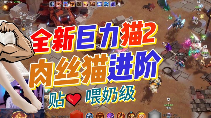 【火炬之光】全新猫2-肉猫进阶巨力猫!喂饭级BD进阶教学来啦!截图