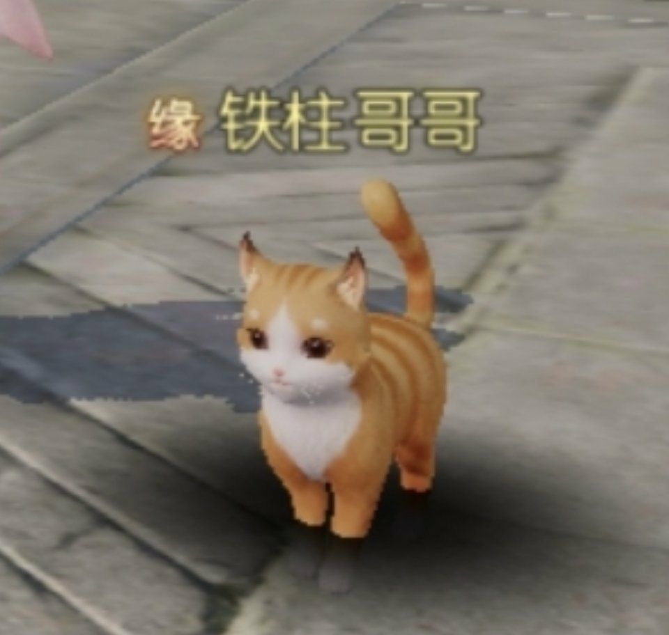 动态图片 3