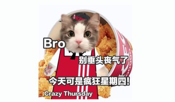 （已开奖）🎁评论有奖丨疯狂星期四！更新也疯狂！更新plus！