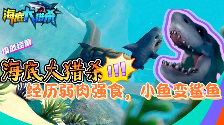 开局一条虫【海底大猎杀】经历弱肉强食，小鱼变鲨鱼截图