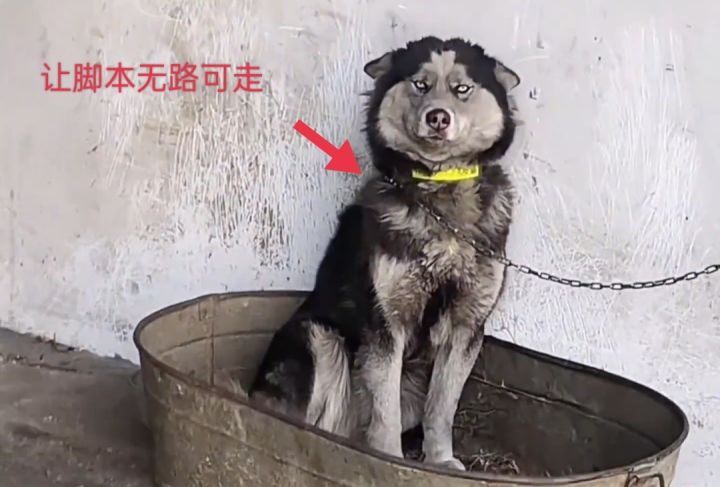 啦啦啦截图