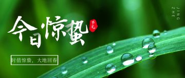 决胜之心 |惊蛰礼包码