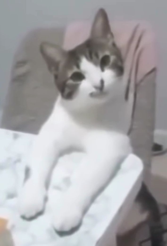 又来问了 1