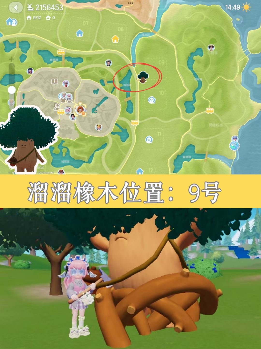 11.30小镇速报丨今日萤石橡木位置 2