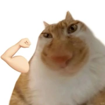 【新区公告】天启-荣耀圣庭（安卓IOS混服）来袭！