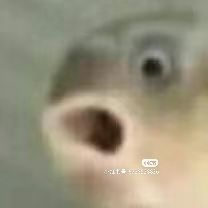 怎么改了个这么难听的名字截图
