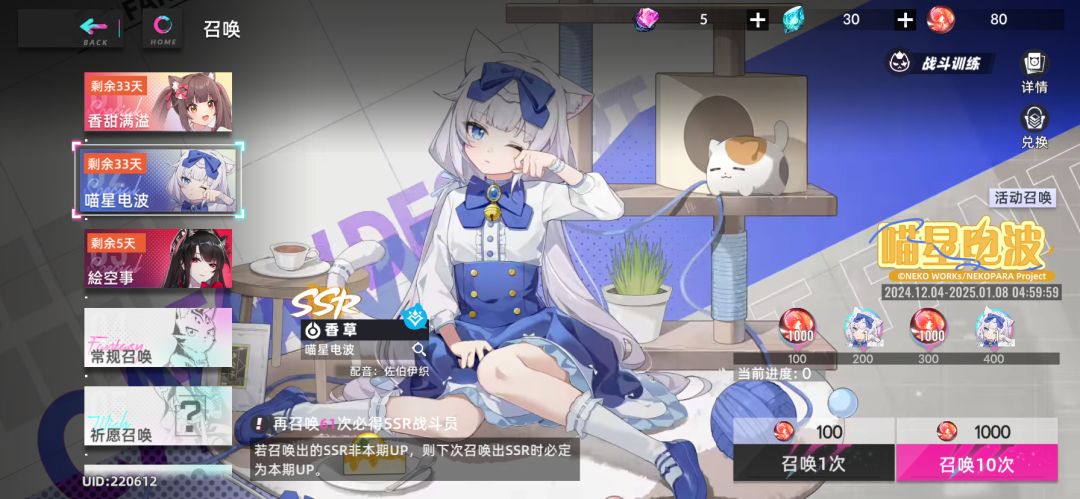 猫之城香草，巧克力，可可 3