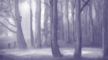 【阿瑞斯2创作活动】森林及美丽花园篇生物图鉴