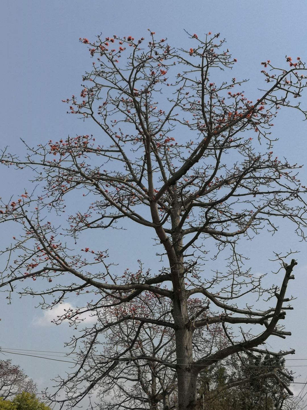 动态图片 9