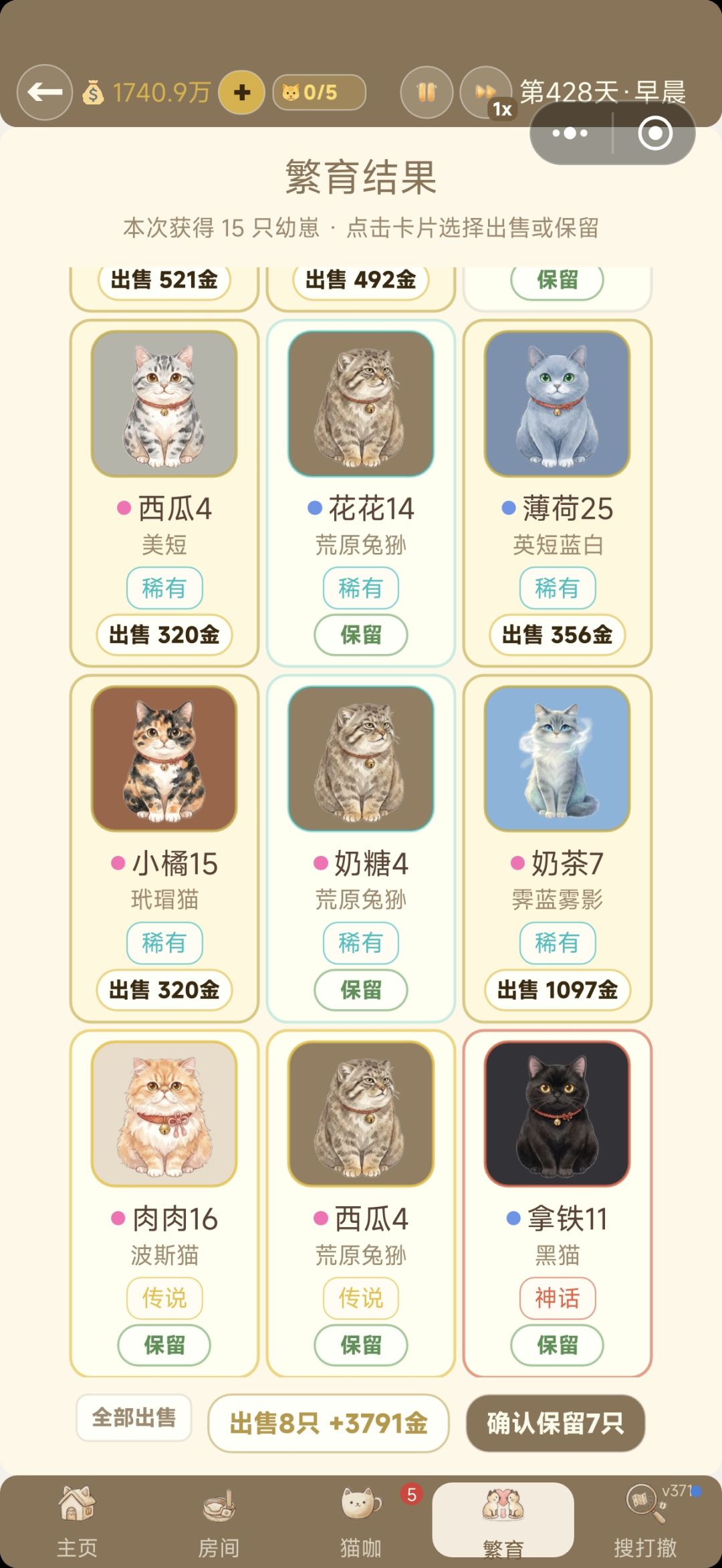 好可爱的兔狲宝宝~ 1
