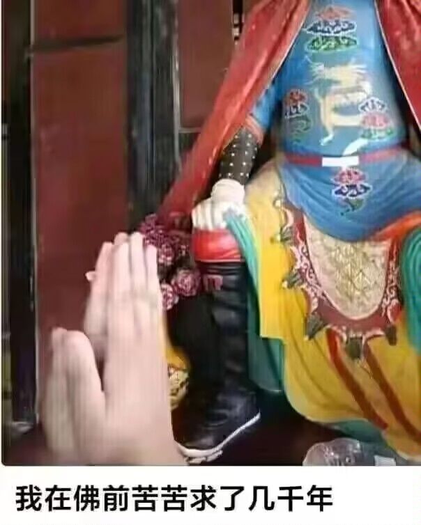 回归找个狮虎截图