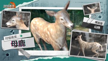图鉴电报丨《逆境重生》动物篇-母鹿