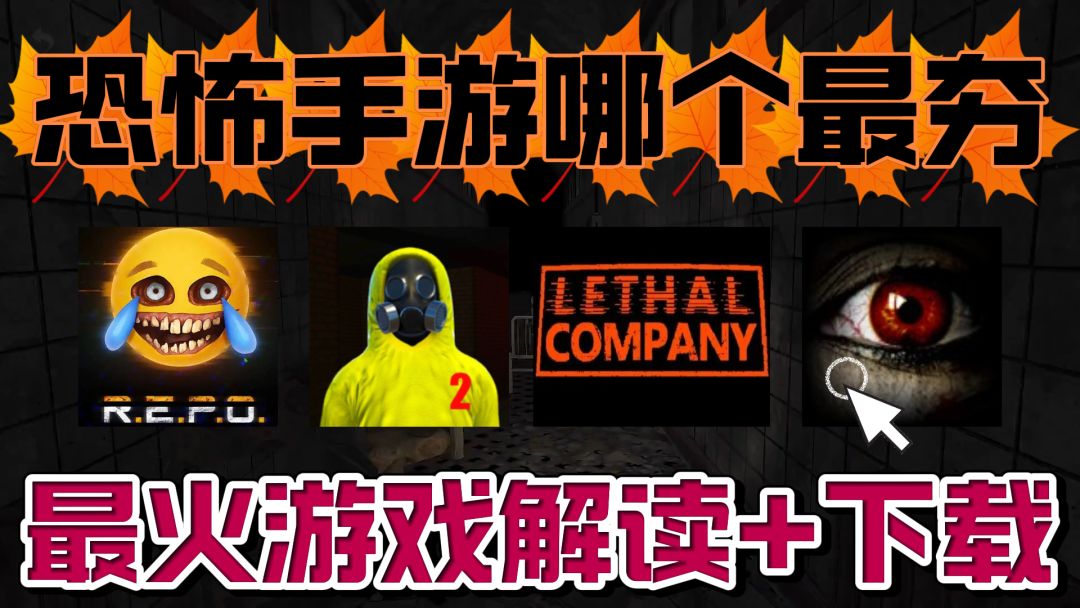 video-5665925