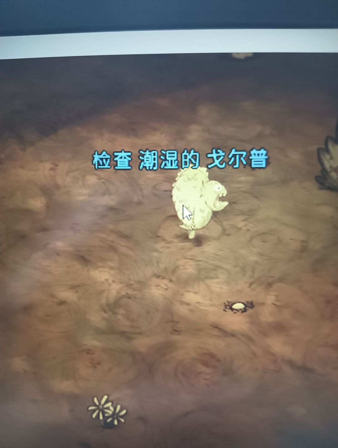 这是个啥 1