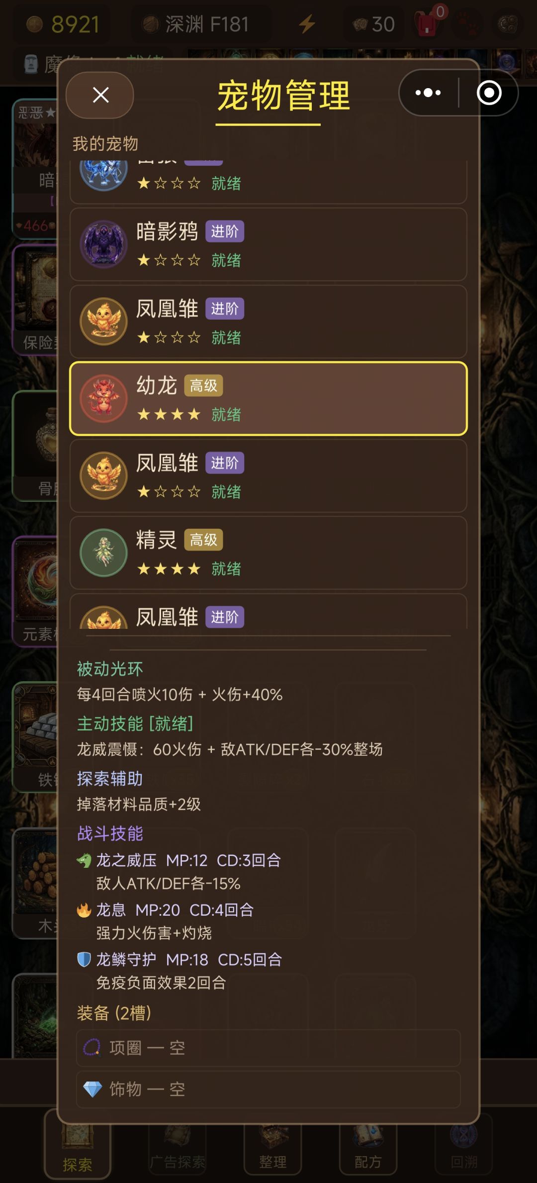 中 高级宠物 3