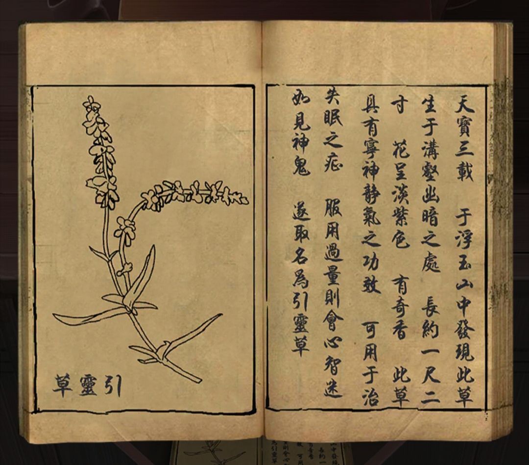 五章有点少 2