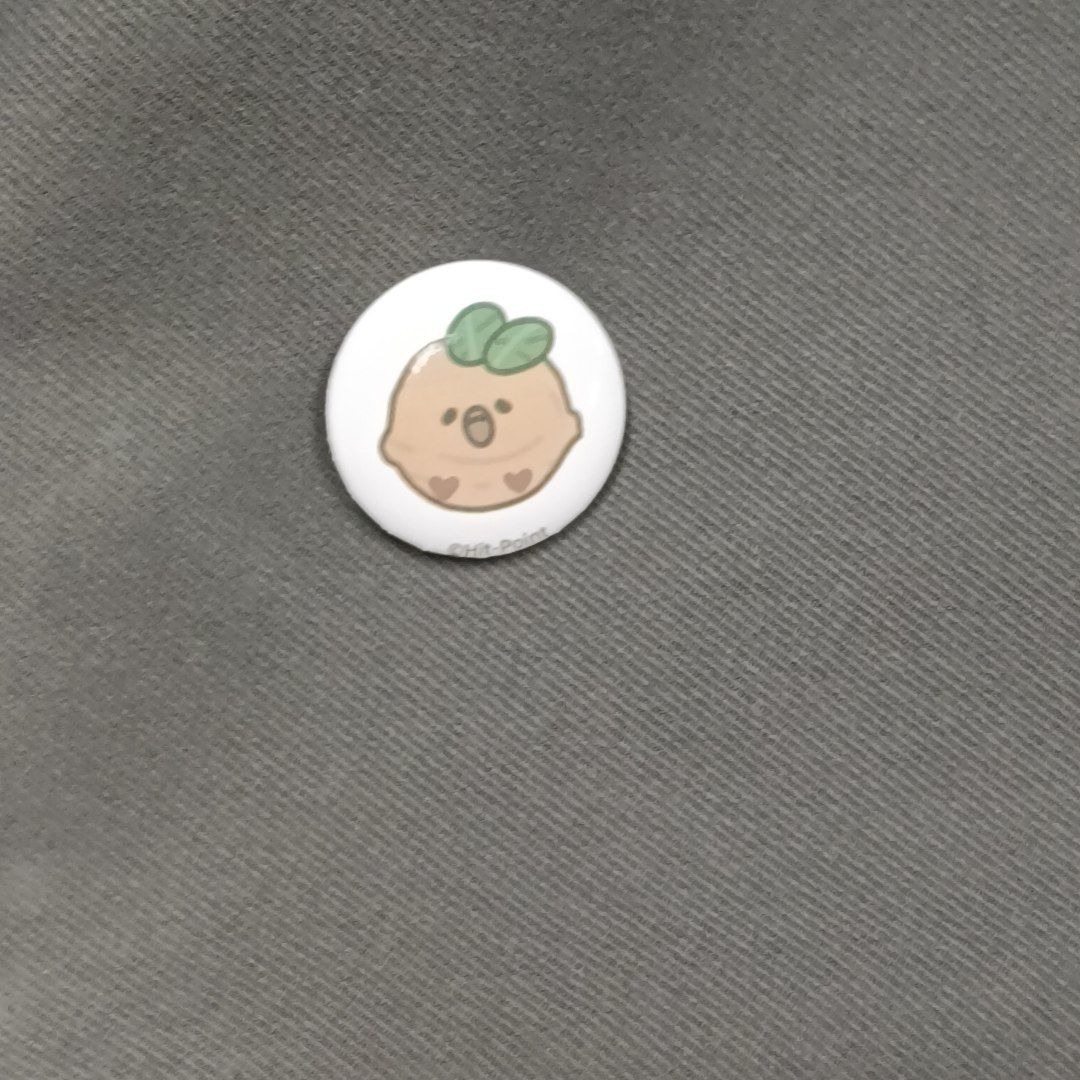 买蛙蛙周边送的小徽章别在了包上 1