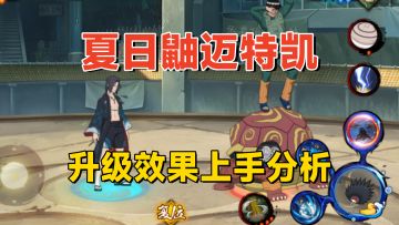 升级后的夏日鼬和迈特凯上手详解，体验和美术表现都有提升！