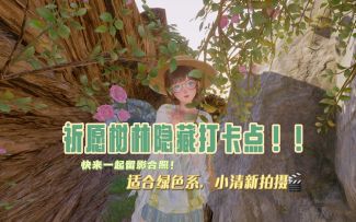 祈愿树林隐藏打卡点位！！