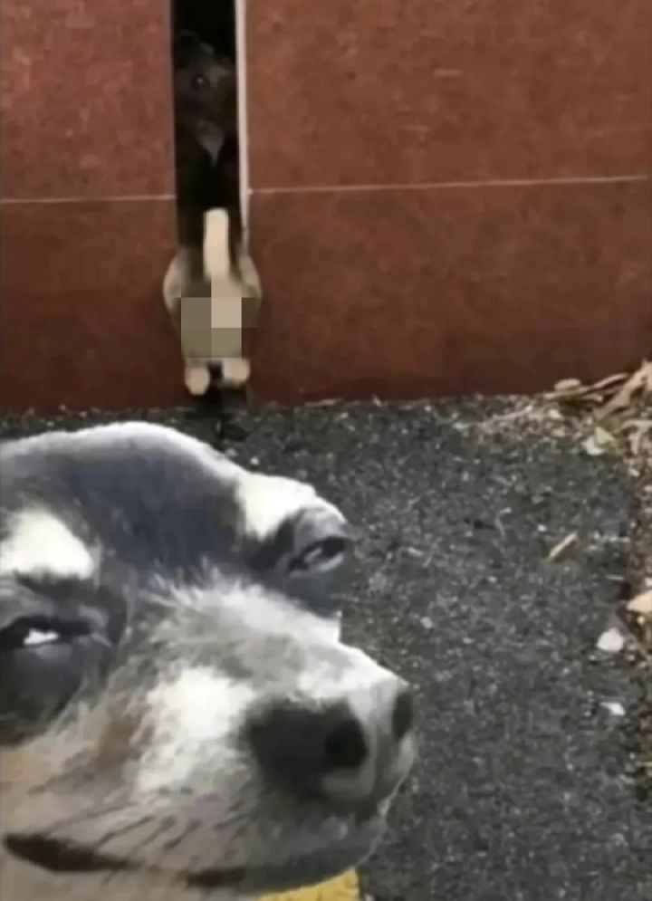 诶嘿截图