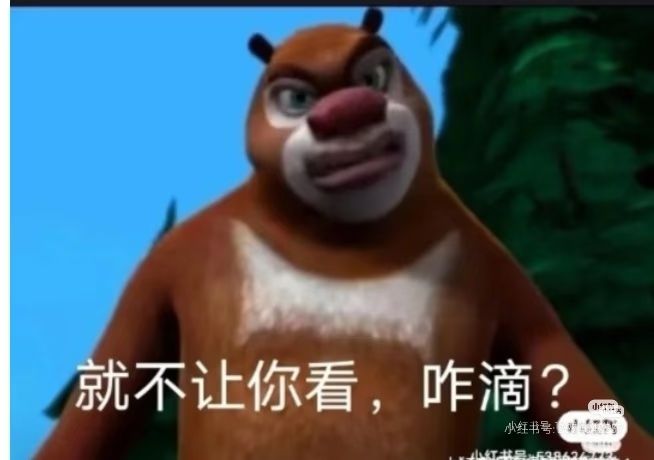 动态图片 7