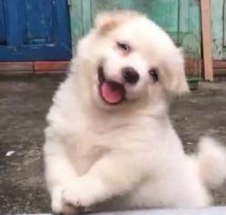 瞎了 1