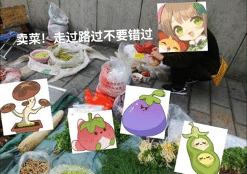 种菜活动-卖菜~截图