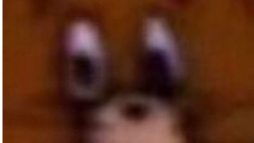 关于南坪村支线