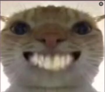 旧日圣城之武器图鉴篇