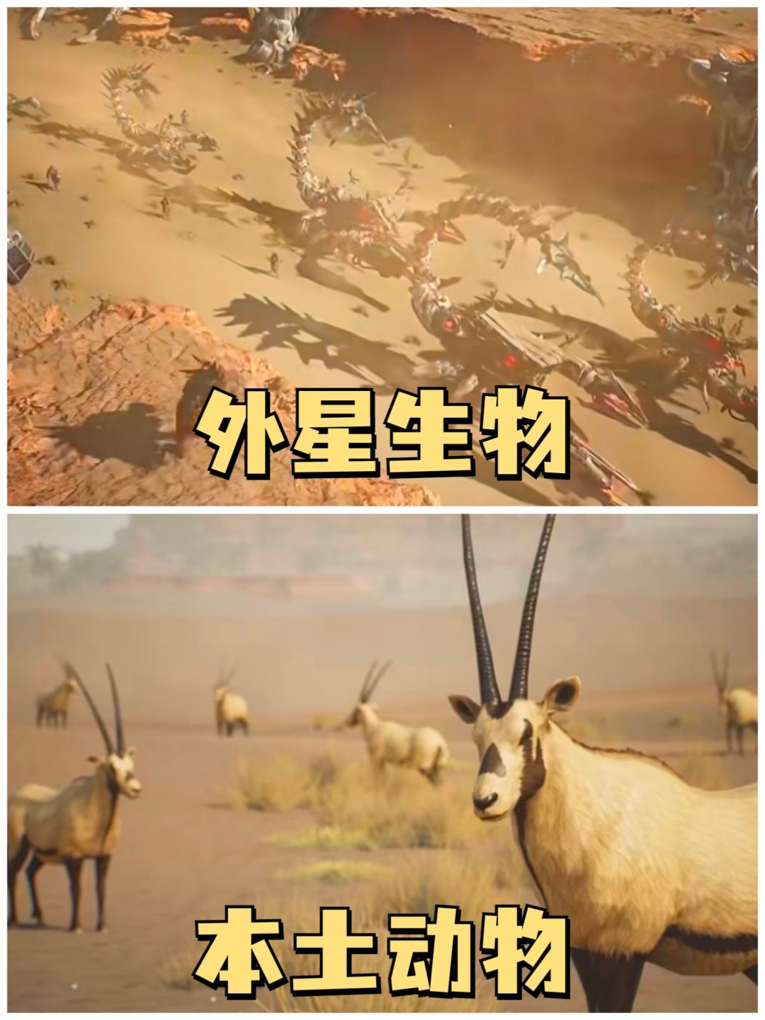 ✨在荒野中求生,你不来试试?✨ 2