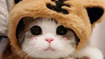 镜法对群大秘境搭配思路（10.27）