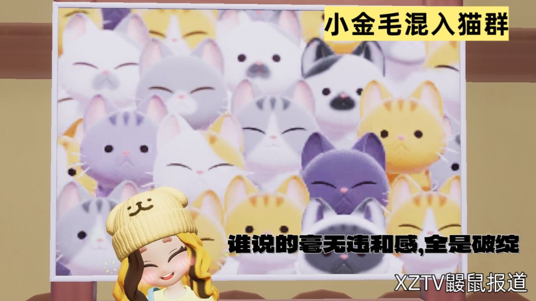 XDTV1.2资料整合 3