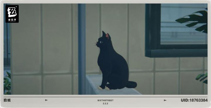 呜呜呜呜呜可爱的猫猫呜呜呜呜截图