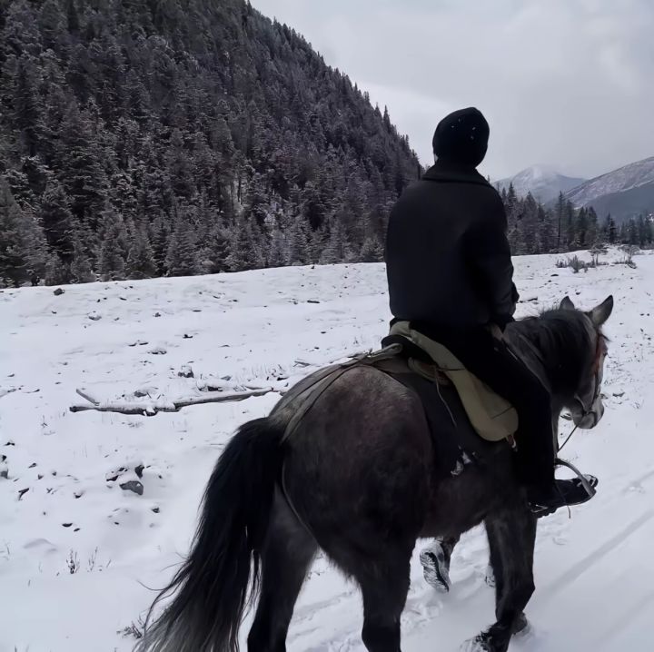 有没有星辰变手游合作的截图