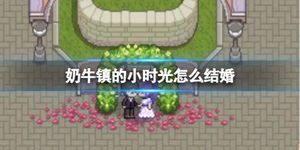 《奶牛镇的小时光》怎么结婚 结婚攻略介绍截图