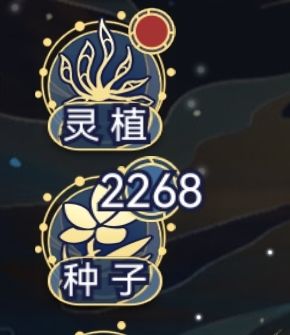 永恒种子多是真的舒服 2