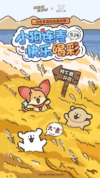 我们在麦田里，追逐自由的风🍃