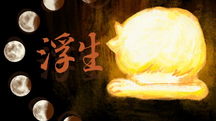 【开发者日志5⃣️】浮生|写在故事的最后截图