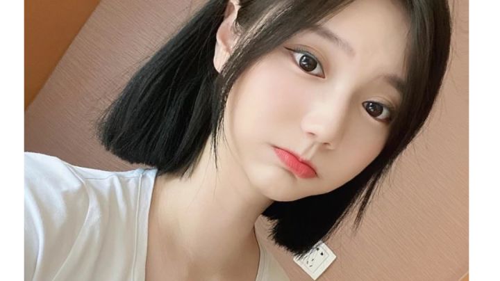 火法打红蝶实录截图