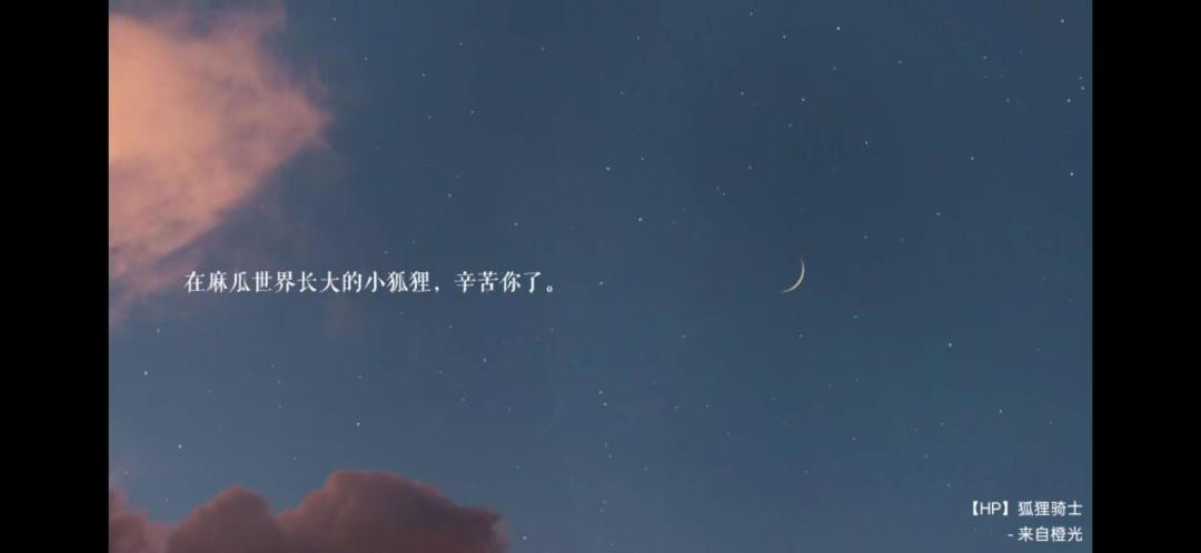 橙光《狐狸骑士》 2
