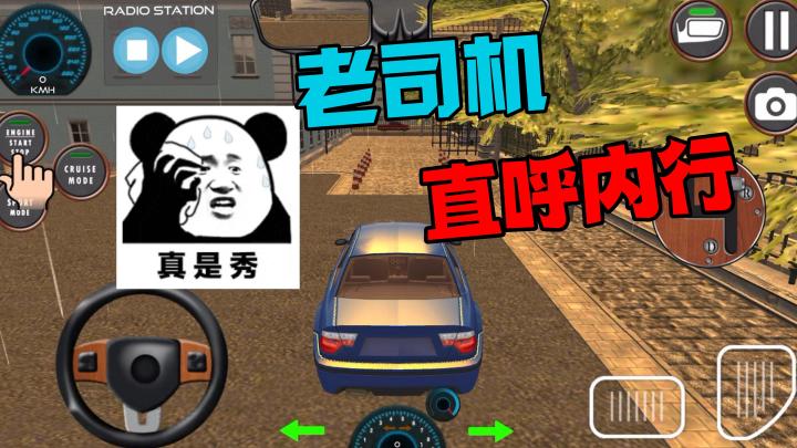 模拟驾驶游戏可以多真实?老司机都要直呼内行!截图