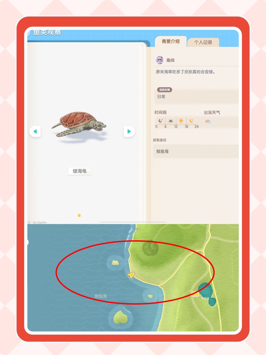 心动小镇鱼类|绿海龟 2