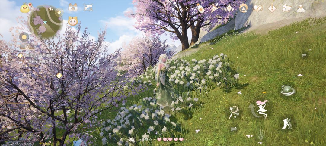 宝藏拍摄地 8
