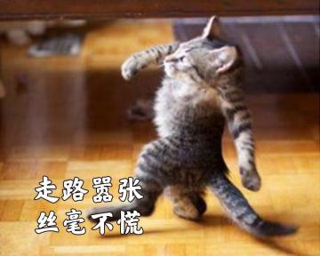 提点建议，我北冥要当话事人，希望策划不要不识抬举